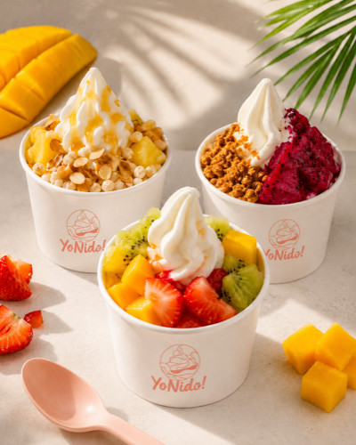 Yo Nido Island Froyo