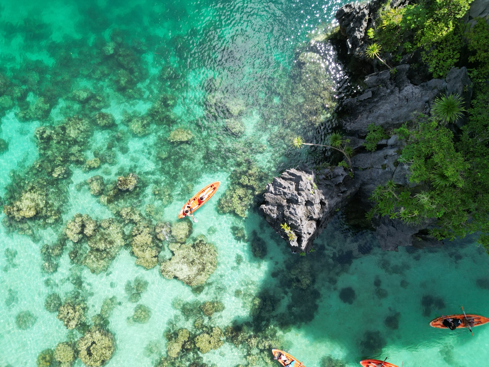 H Hospitality Travel and Tours